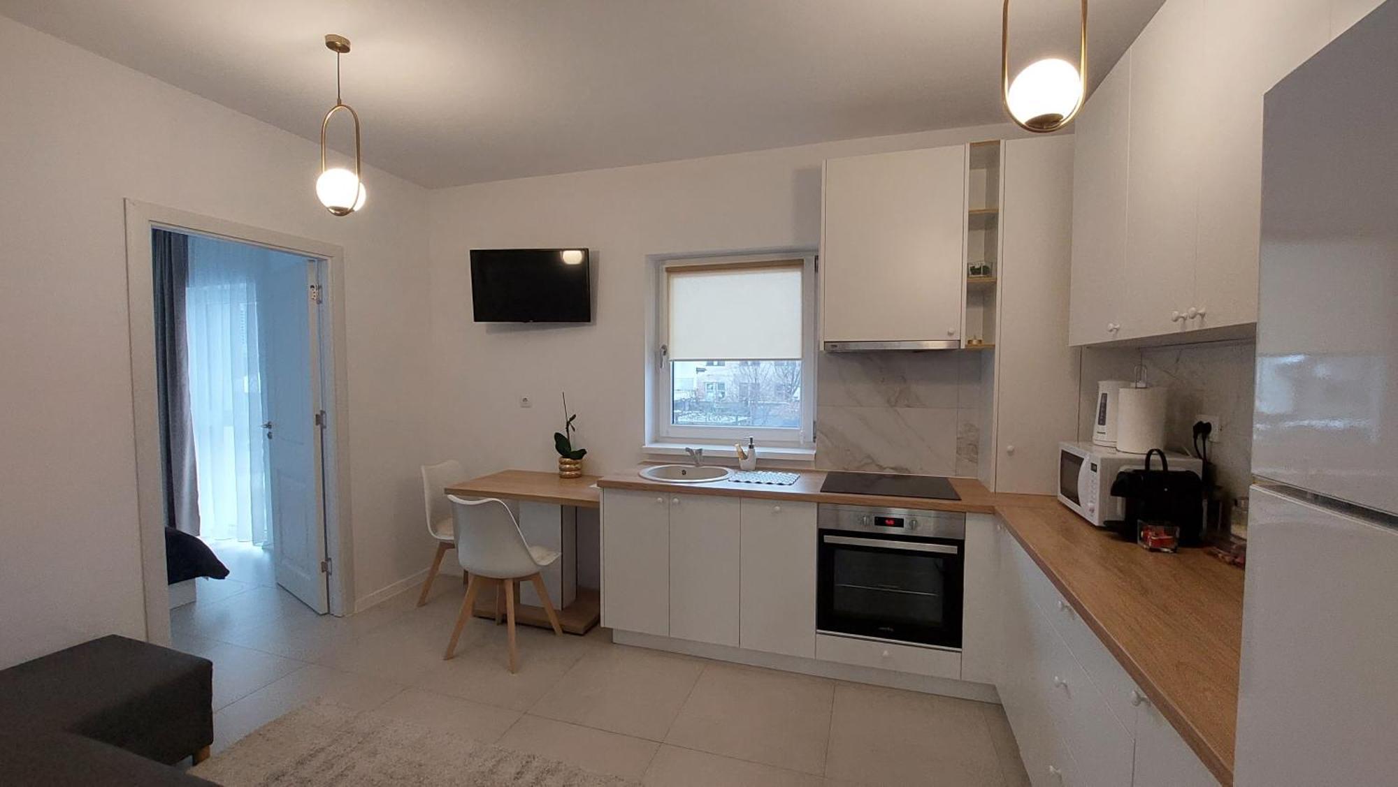 Cora Apartment Baia Mare Dış mekan fotoğraf