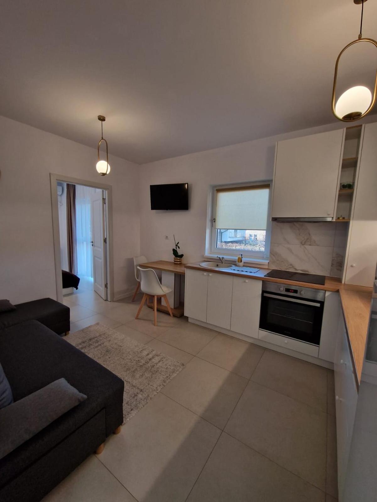 Cora Apartment Baia Mare Dış mekan fotoğraf