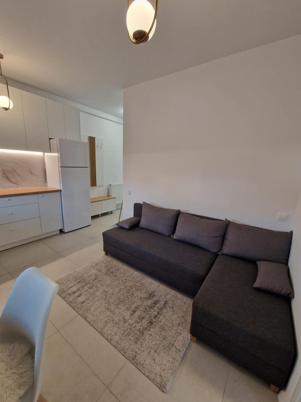Cora Apartment Baia Mare Dış mekan fotoğraf